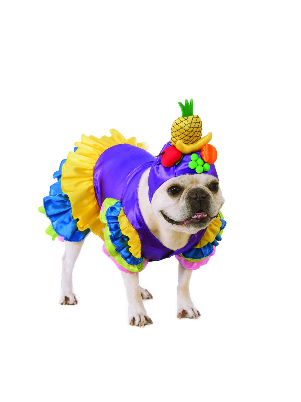 Rubie'S Unisex Adult Brazilian Bombshell Pet Costume, As Shown, S Neck 12 Girth 17 Back 11 Us