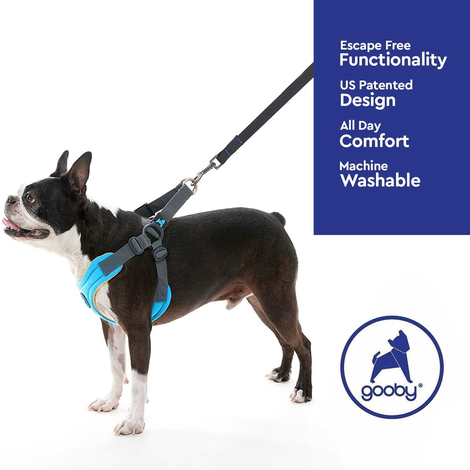 Gooby Escape Free Memory Foam Harness - Blue, Small - No Pull Step-in Small Dog Harness with Four Point Adjustment - Perfect on