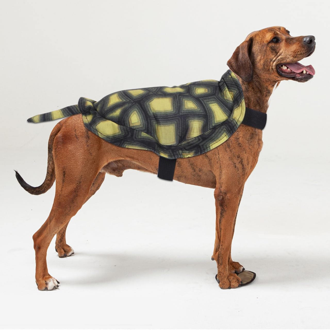 YARNOW Dog Turtle Shell Costume, Fun Pet Costumes for Halloween Parties and Festivities, Easy to Wear and Clean (Size L)