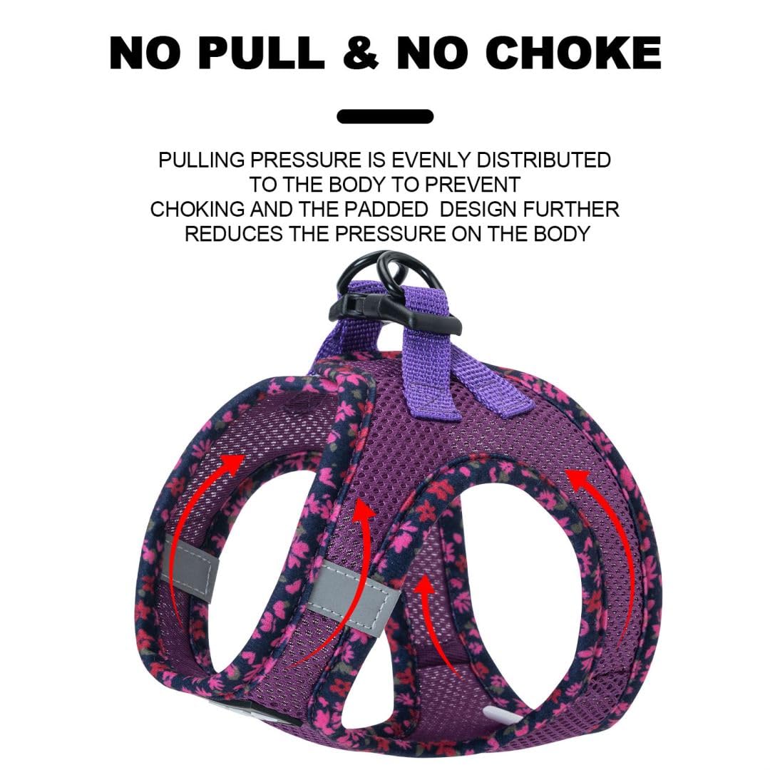 Pina Dog Harness and Leash Set - No Pull, Adjustable, Breathable Mesh Vest, Size S, Purple - Lacework