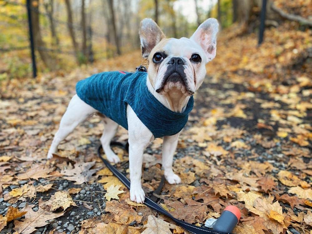 Gooby - Zip Up Fleece Vest, Fleece Jacket Sweater With Zipper Closure And Leash Ring, Turquoise Wash, Small