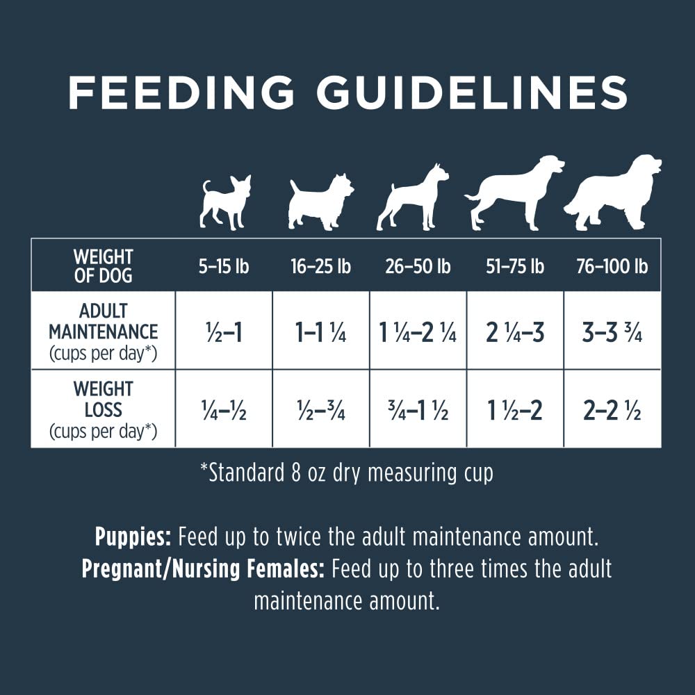 Instinct Raw Boost Grain Free Recipe with Real Chicken Natural Dry Dog Food, 21 lb. Bag