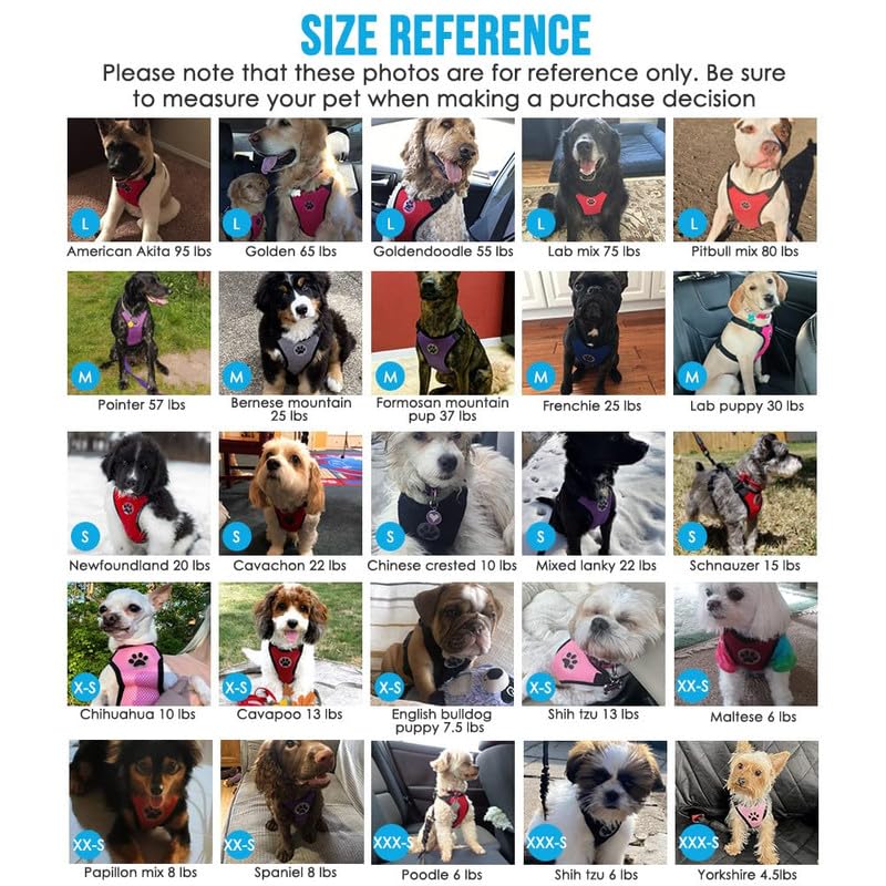 Slowton Dog Seat Belt Harness For Car, Dog Car Harness Adjustable Mesh Breathable & Dog Seatbelt Safety Tether With Elastic Bungee For Small Medium Large Pets(Green, Double Clip, Xxxs)