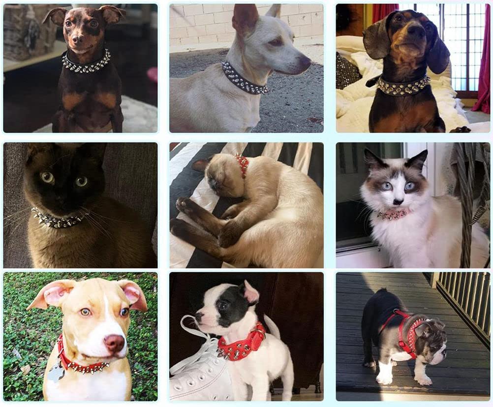 haoyueer Spiked Dog Collar Soft Pu Leather Mushrooms Rivet Spike Studded Puppy Adjustable Pet Collars for Small Breeds (L, Purpl