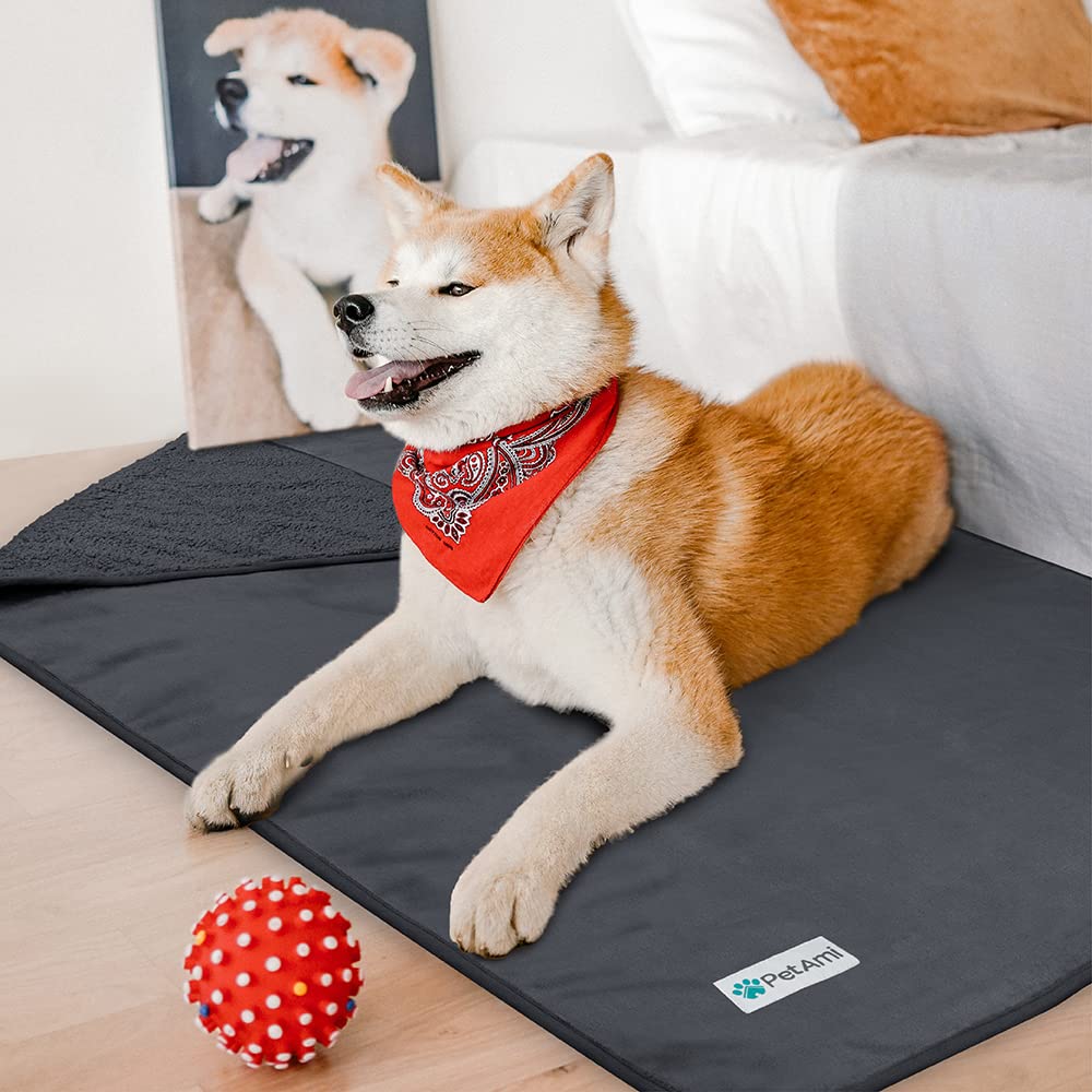Petami Waterproof Dog Blanket For Small Medium Dogs, Pee Proof Pet Blanket Sherpa Fleece Couch Cover, Reversible Cat Throw Bed Sofa Protector, Soft Plush Washable Pad (Medium 29X40, Dark Gray)