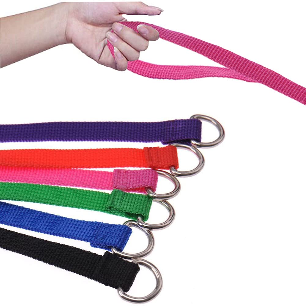 Litewoo 6 Packs Slip Lead Dog Leash, Durable And Comfortable For Cats, Dogs And Other Small Animals