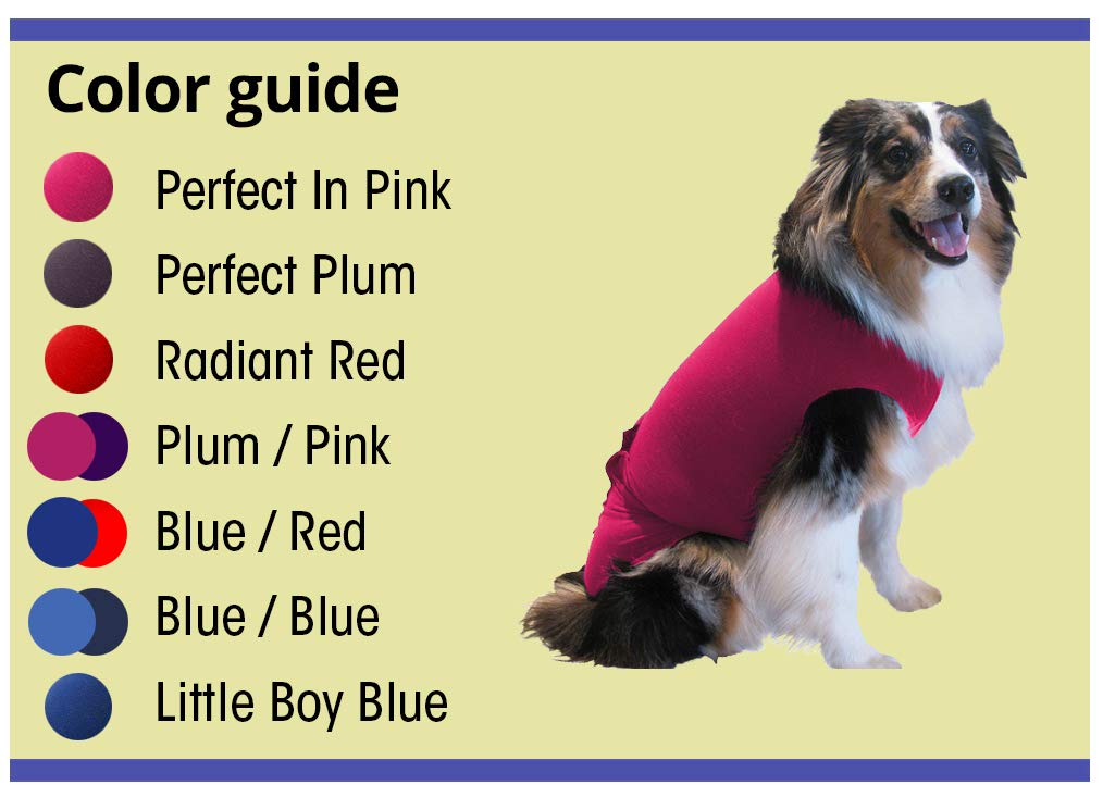 Surgi~Snuggly Washable Disposable Dog Diapers Keeper - for Male and Female Dogs - Wrap Around Legs for Superior Fit - Fits (LS -