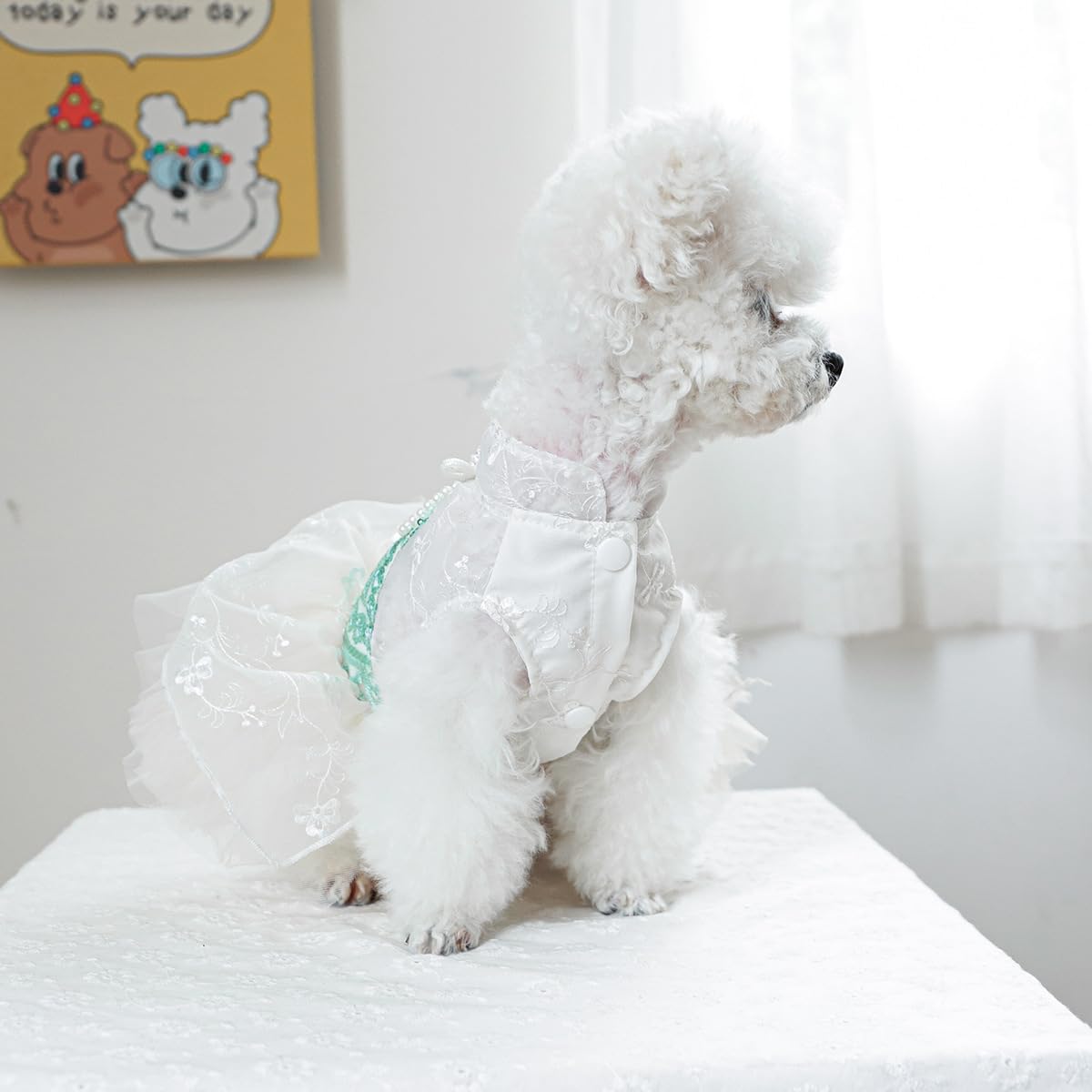 Marupet Fashion Sweet Puppy Dog Blingbling Princess Skirt Pet Dog Lace Cake Camisole Tutu Dress C-Green M