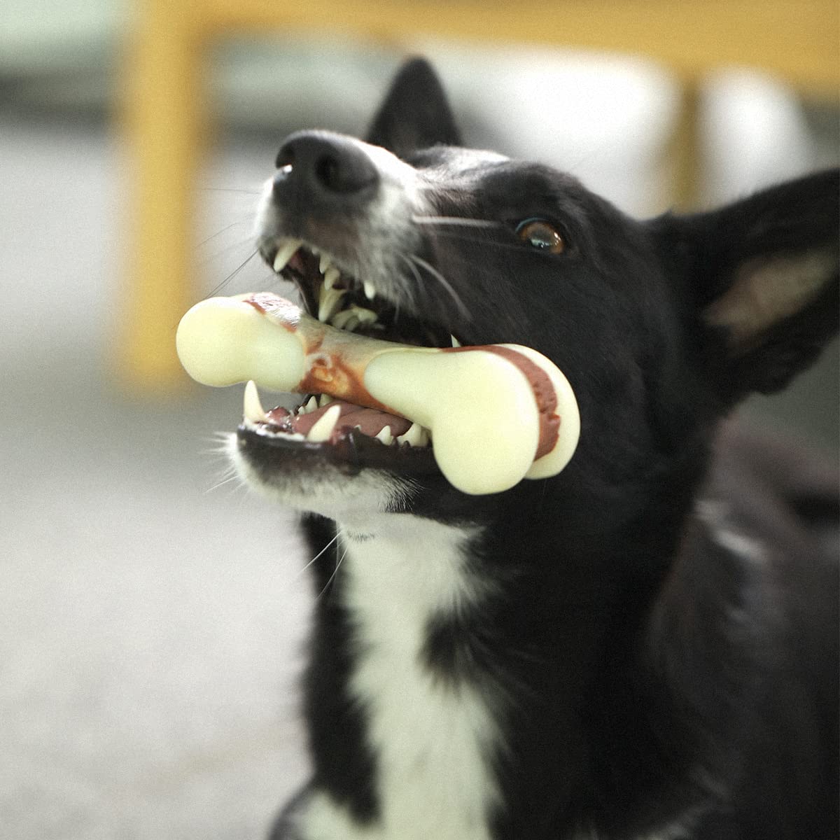 Tikaton Indestructible Dog Chew Toys - Durable Nylon Teething Bones for Aggressive Chewers, Medium Size, Beef Flavor