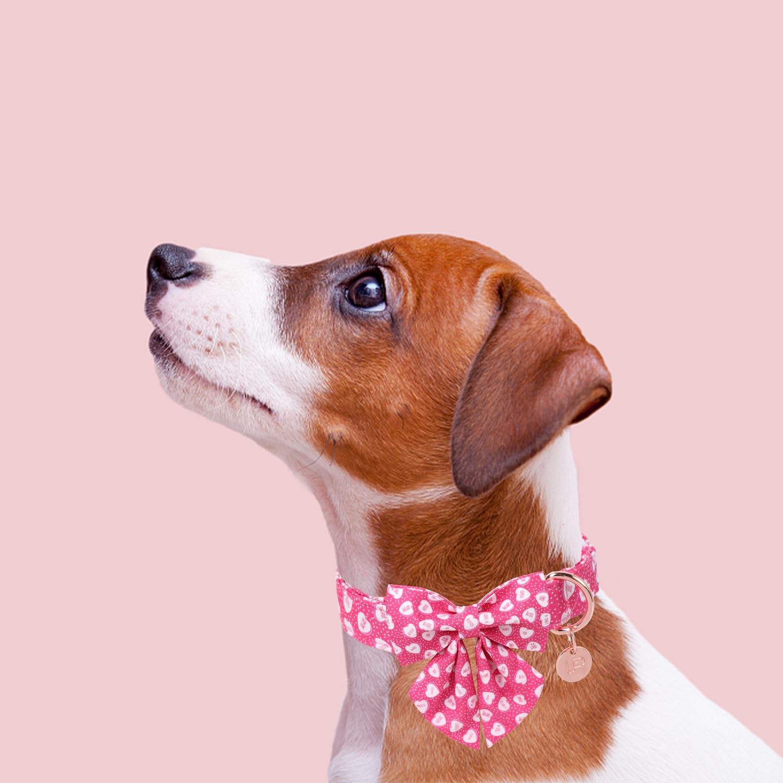 Up Urara Pup Valentines Dog Collar With Bow Tie, Pink Heart Bowtie Collar With Metal Buckle, Valentines Gift Pet Collar For Pupp