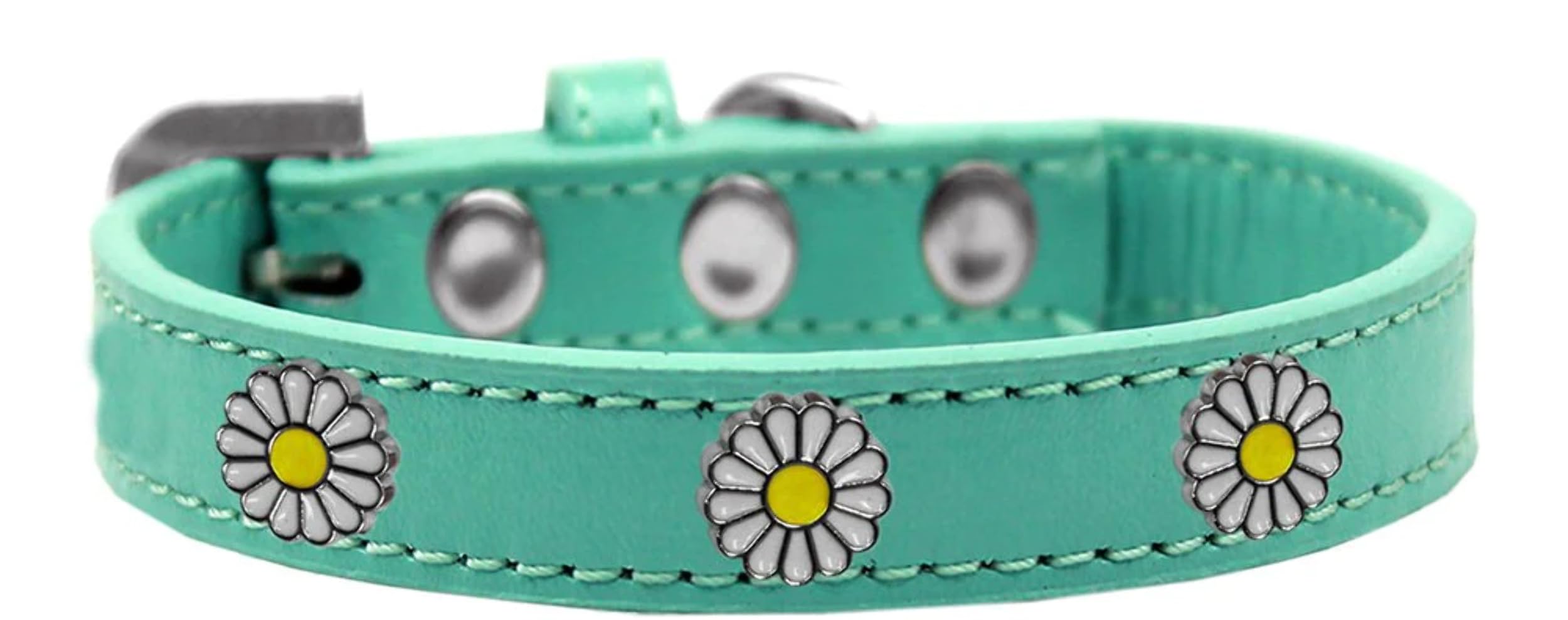 Dog, Puppy and Pet Widget Fashion Collar, "White Daisies" Aqua 18