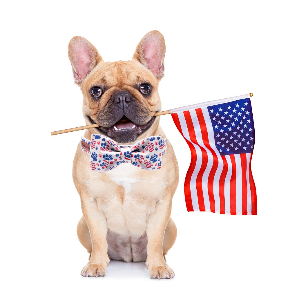 Lionheart Glory American Flag Dog Collar - 4Th Of July Collar With Adjustable Bow For Small Dogs