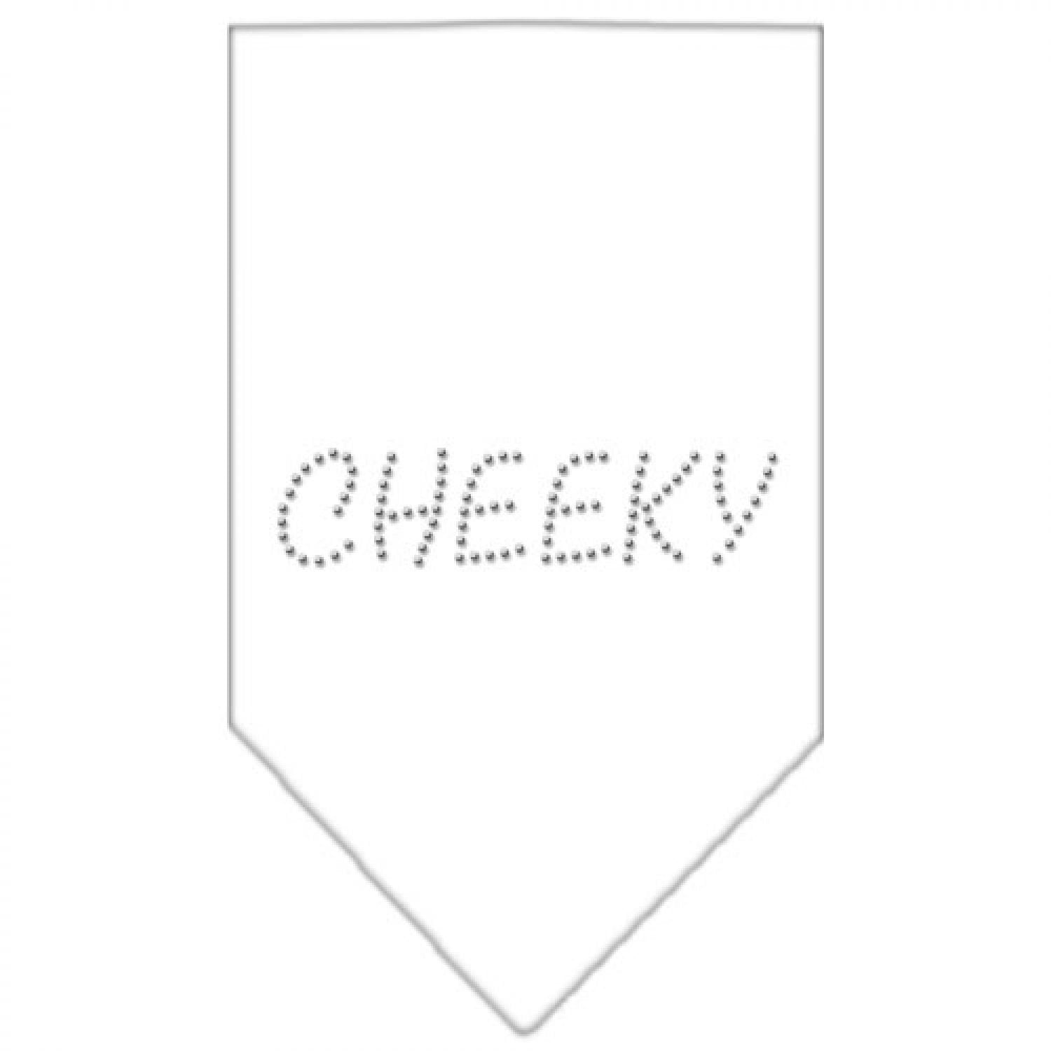 Mirage Pet Products Cheeky Rhinestone Bandana, Large, White