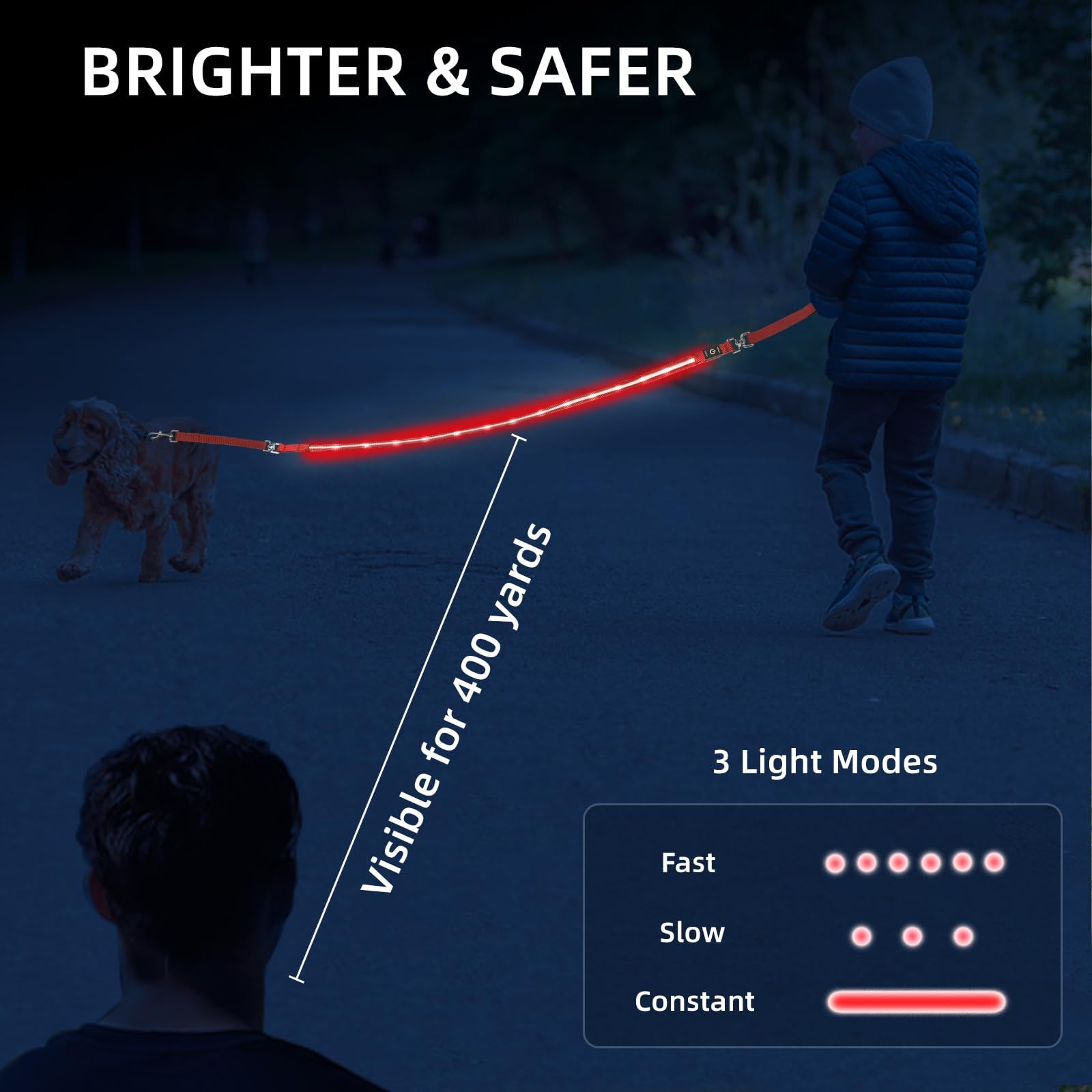 Petisay Light Up Dog Leash For Night Walking - Usb-C Rechargeable, Waterproof - 6Ft(White)