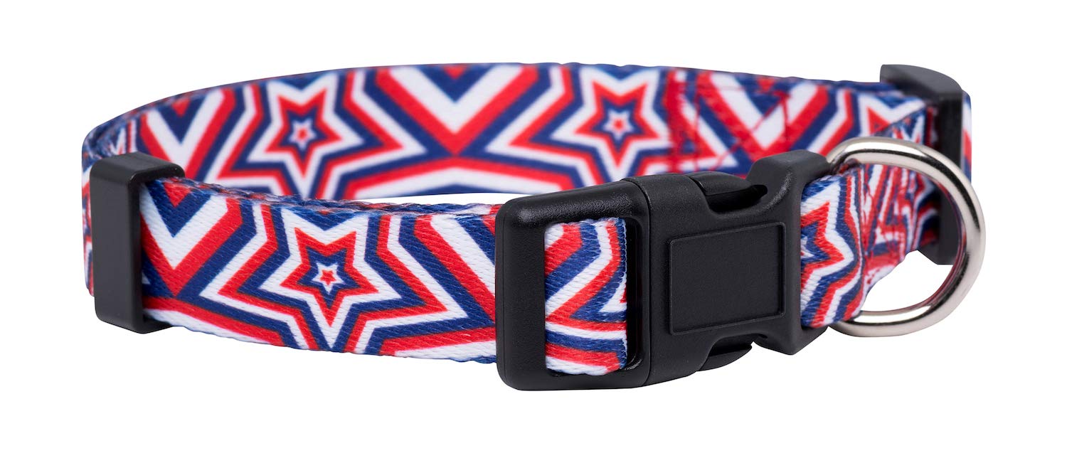 Native Pup Halloween Dog Collar (Large, Ghosts)