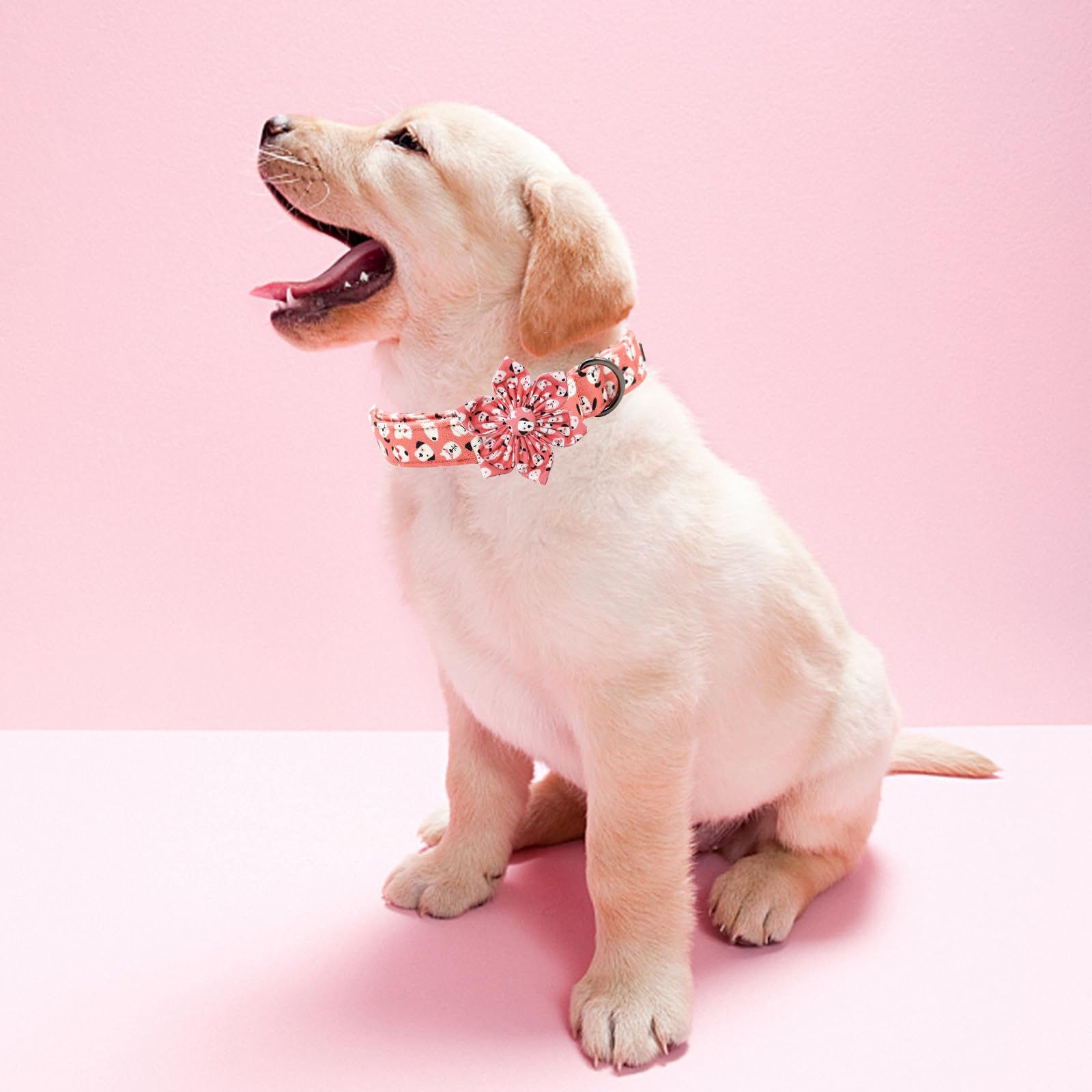 Elegant little tail Dog Collar with Flower, Flower Girl Dog Collar for Female Dogs, Cute Dog Pet Collar Gift Adjustable Dog Coll