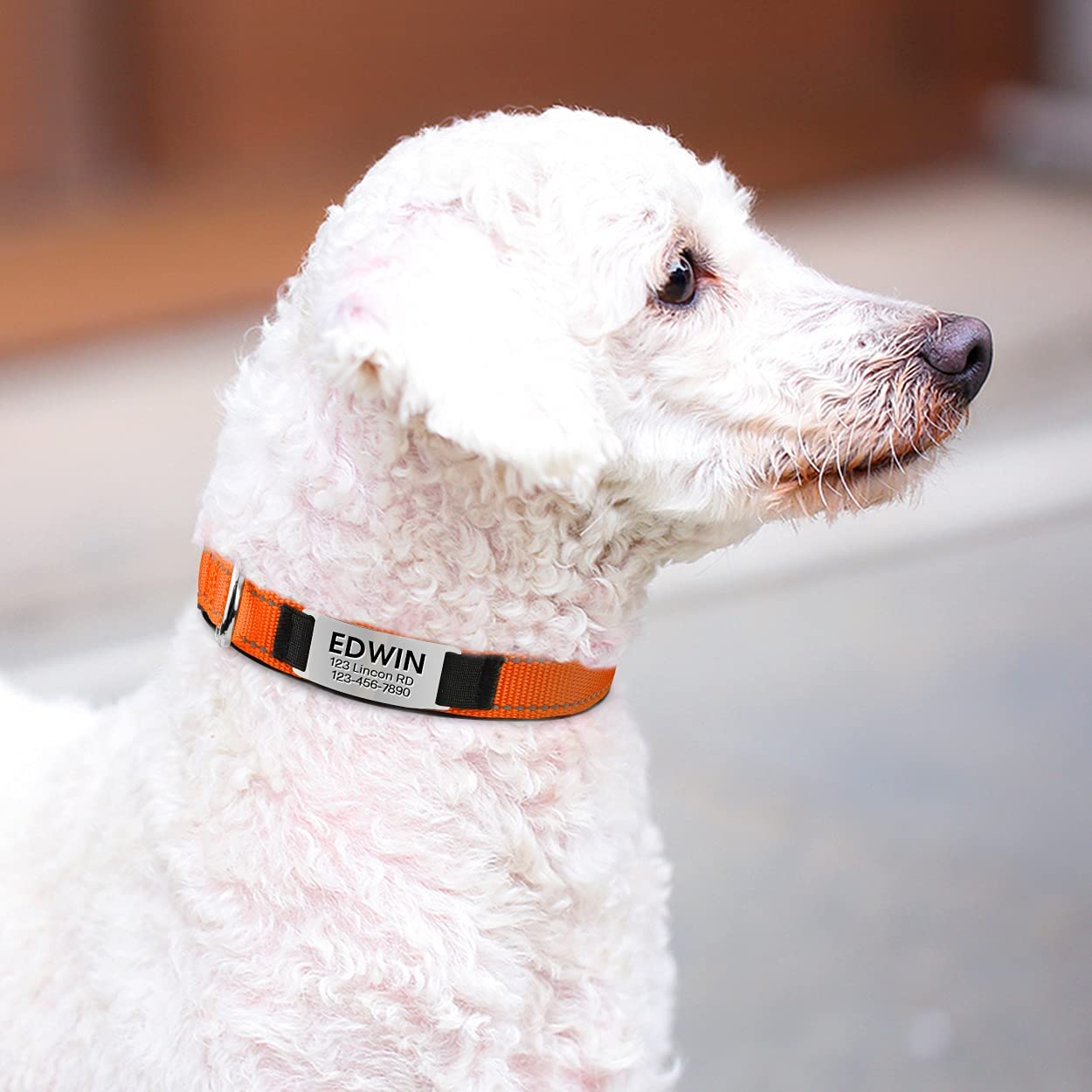 Joytale Personalized Dog Collars, Reflective Nylon Dog Collar With Engraved Name Plate, Customized For Medium Dogs, Orange, M