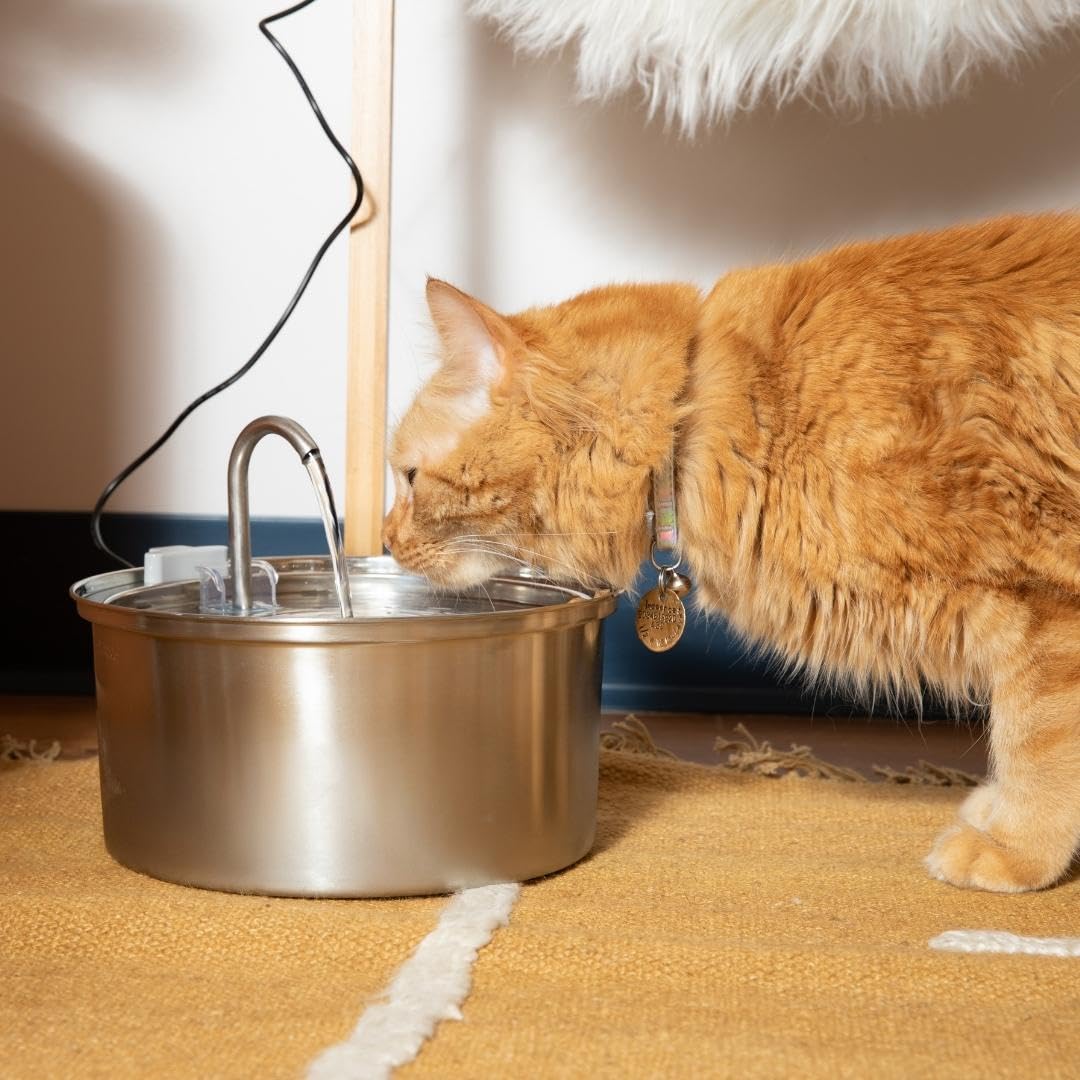 KittySpout Stainless Steel Cat Water Fountain Automatic Drinking Fountain, Quiet Circulating Water Bowl, Dishwasher Safe, Indoor