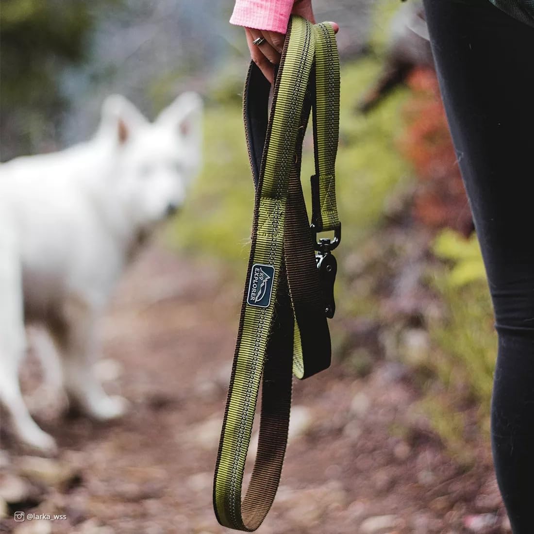 Coastal Pet K9 Explorer Reflective Leash With Scissor Snap Campfire Orange