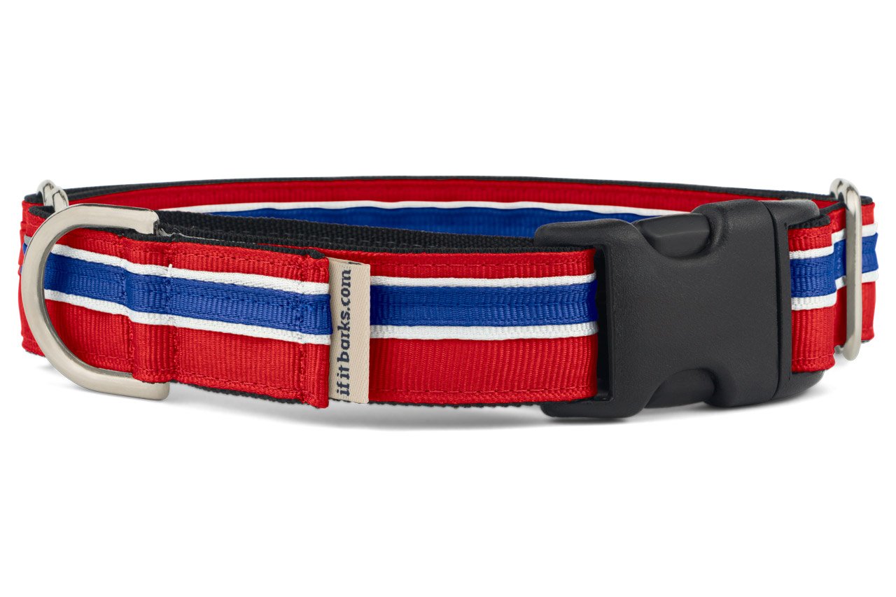 If It Barks 1' Martingale Collar With Quick Snap Release Buckle, Adjustable, Usa Made, Medium, Patriotic