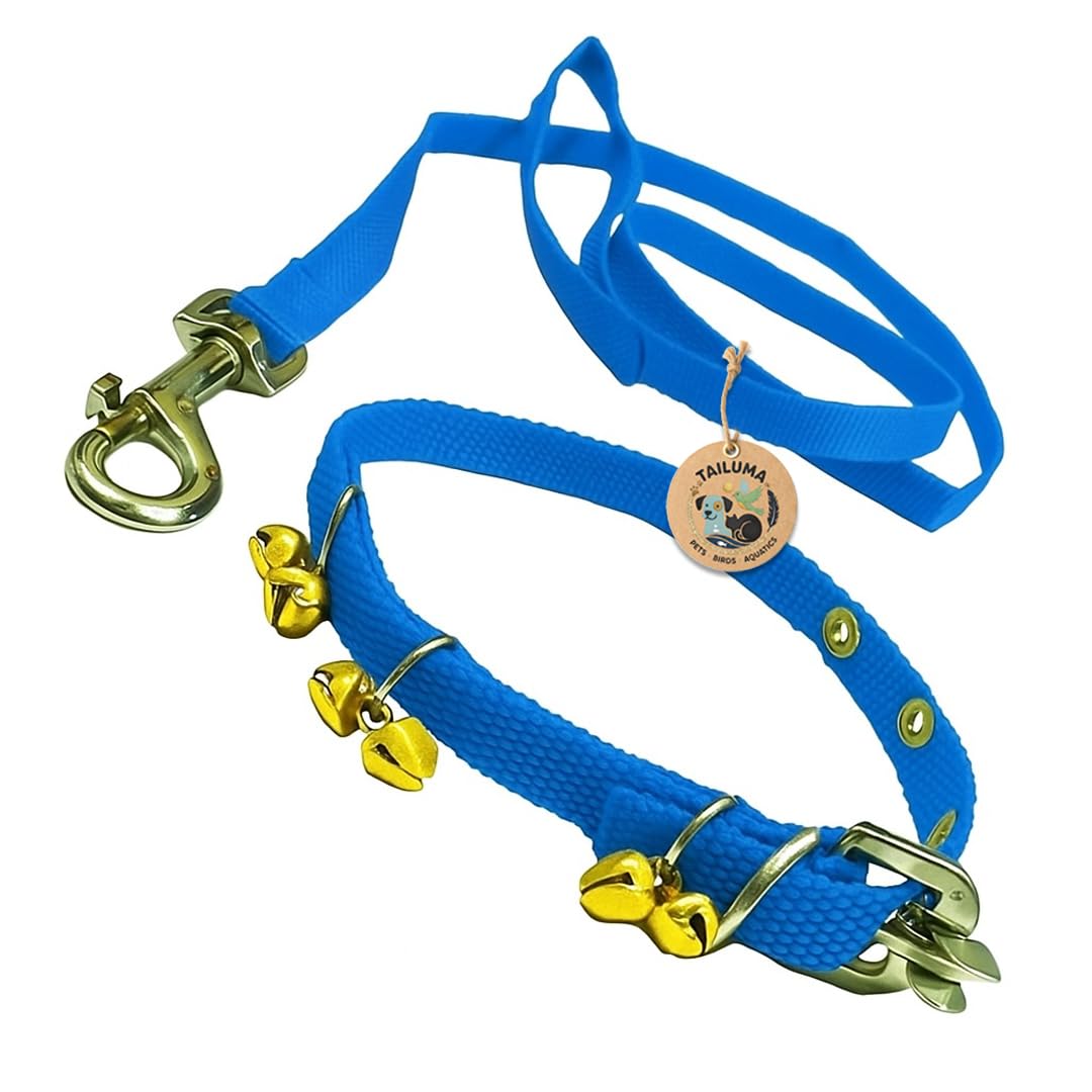 Tailuma Nylon Blue Ghungroo Neck Collar Belt And Leash With Adjustable Stainless Steel Hook Set Ideal For Training/Walking Dogs 