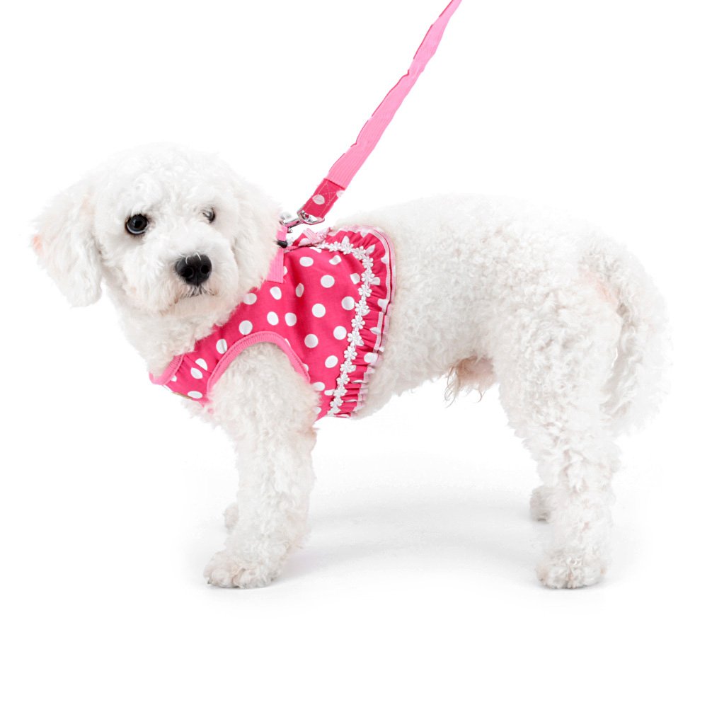 SMALLLEE_LUCKY_STORE No Pull Polka Dot Small Dog Puppy Cat Harness with Crown, Soft Mesh Padded Vest Harness and Leash Set for G