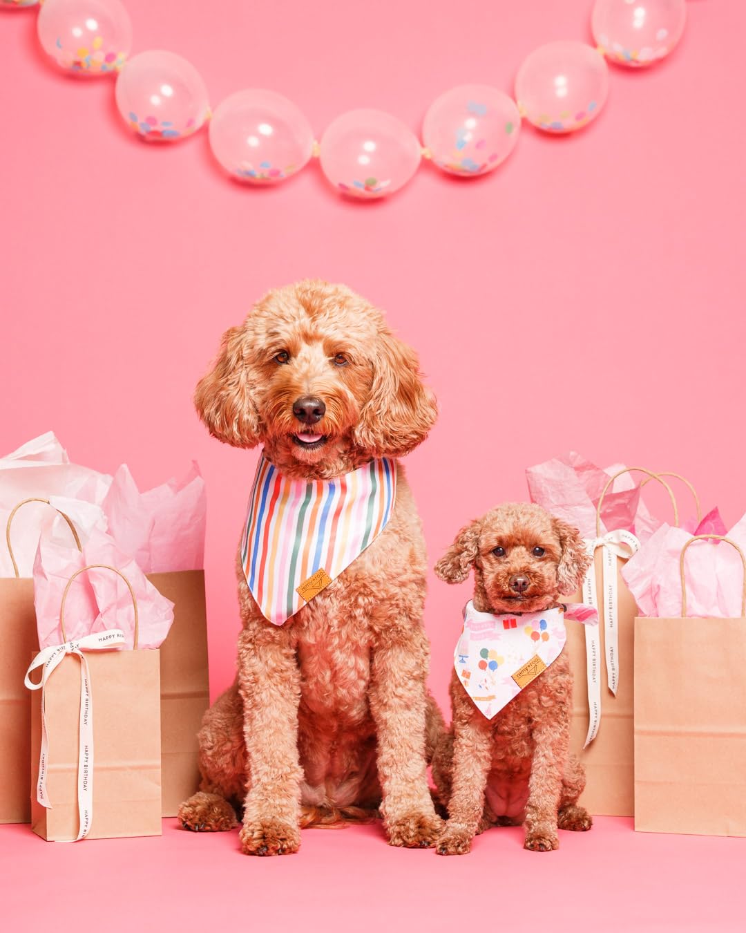 Remy+Roo Small Dog Bandanas - 2 Pack Birthday Set | Premium Durable Adjustable Polyester Fabric Dog Scarfs | Patented Shape, Tre