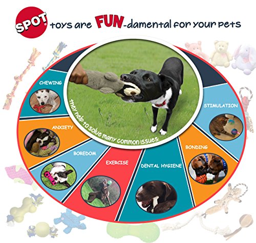 Spot Ethical Pets Raccoon Skinneeez Extreme Stuffingless Quilted Dog Toy, 23'
