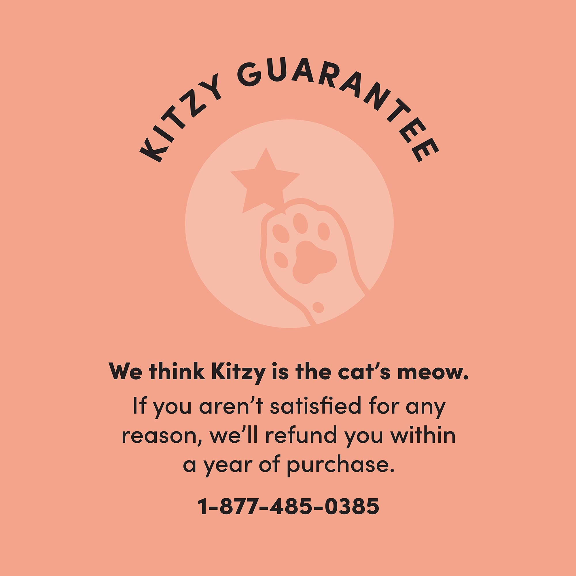 Kitzy Wet Cat Food for Kittens, Chicken Cuts in Gravy, Grain Free, 3oz (24 Pack)
