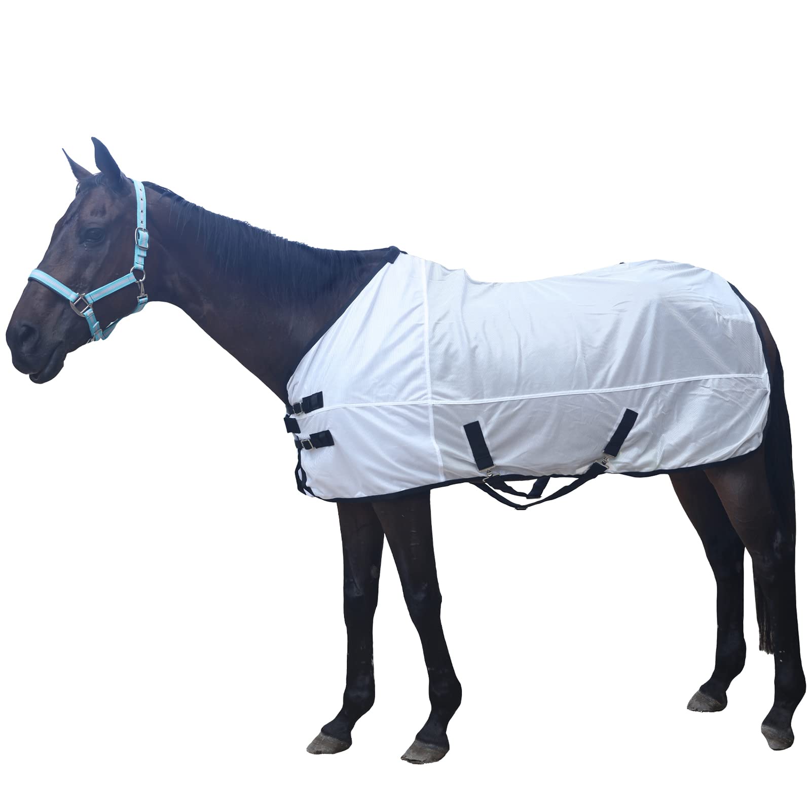 Gallopoff Comfy Mesh Horse Fly Sheet Equine Summer Sheets Stand Neck White 75
