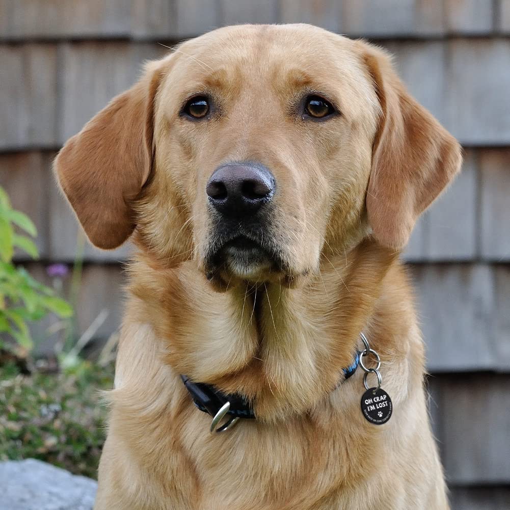 Myluckytag Stainless Steel Qr Code Pet Id Tags Dog Tags - Pet Online Profile - Scan Qr Receive Instant Pet Location Alert Email