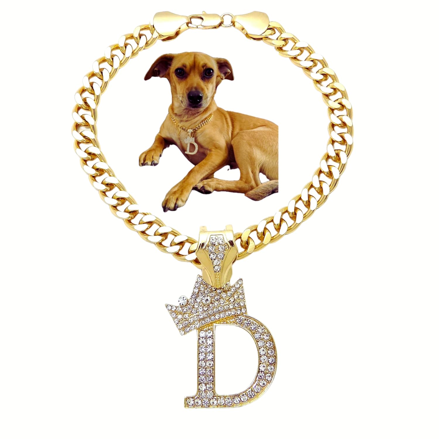 Initial Letter Cuban Chain Dog Chain Pet Chain Pet, Cat, Puppy Necklace (D, 10'')