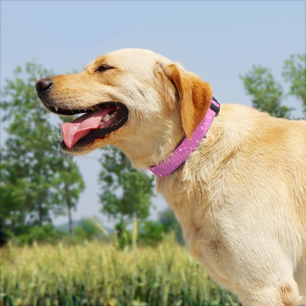 Tdtok Glitter Dog Collar, Comfy And Durable Bling Pet Collar For Small Medium Large Dogs With Eco-Friendly Plastic Buckle And Ad