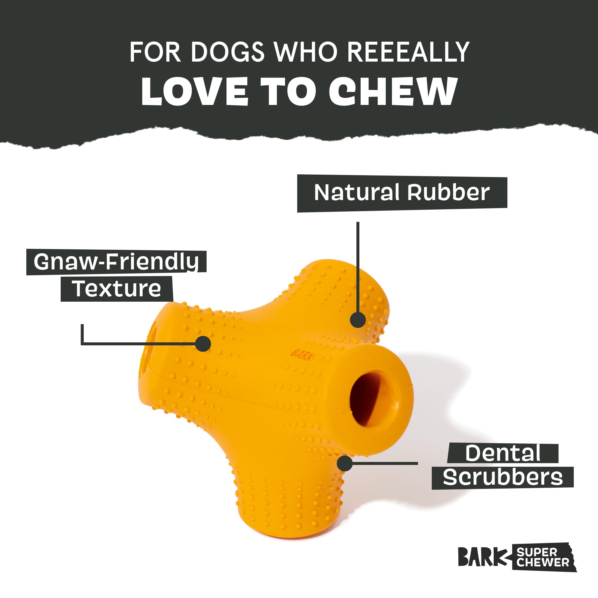Barkbox Dog Toy for Aggressive Chewers | Coral Teef-Small | Wacky Bounce | Model BARK-208282