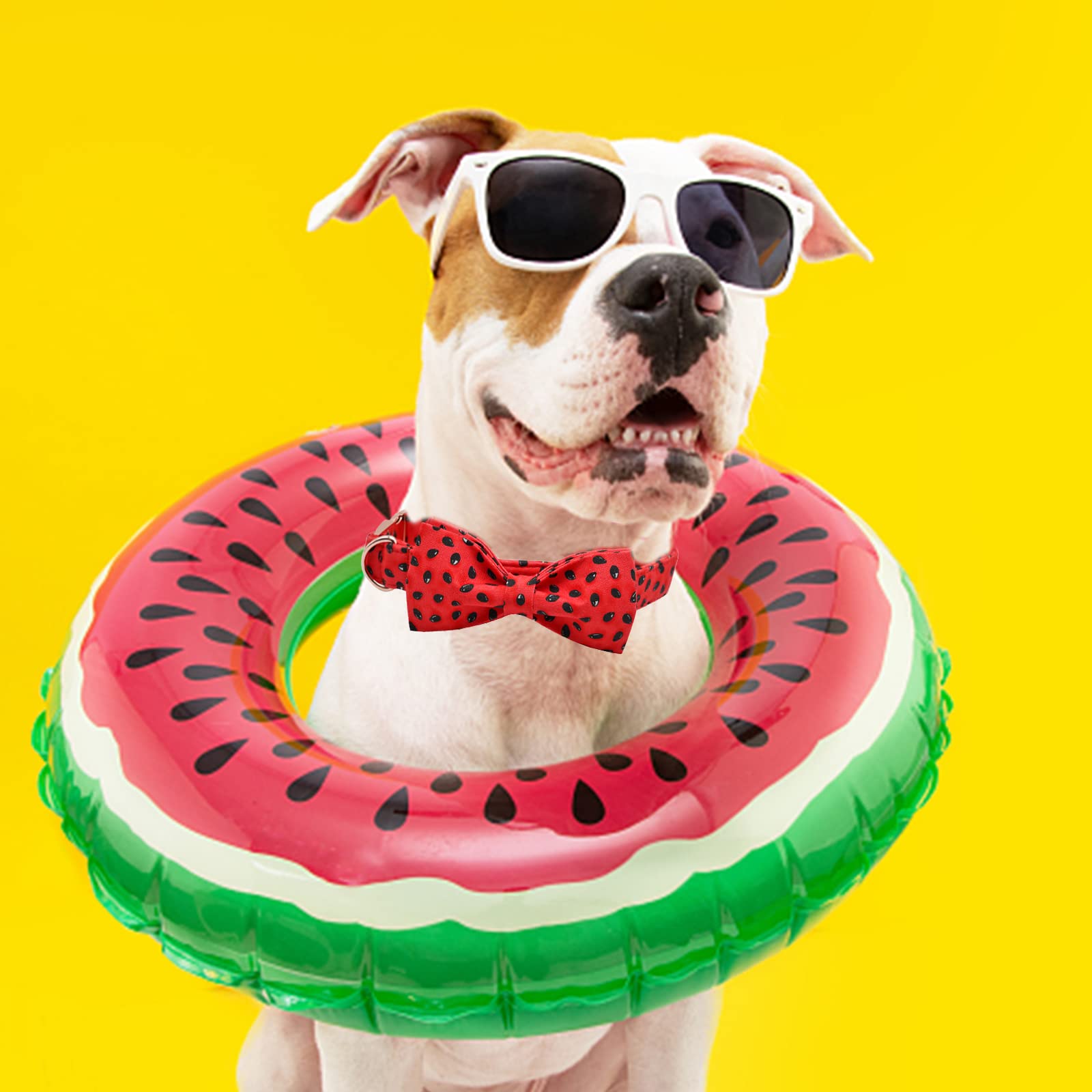 Lionheart Glory Dog Collar, Watermelon Dog Collar With Bow, Summer Dog Bowtie Collar Cute Pet Collar Gift For Small Dog