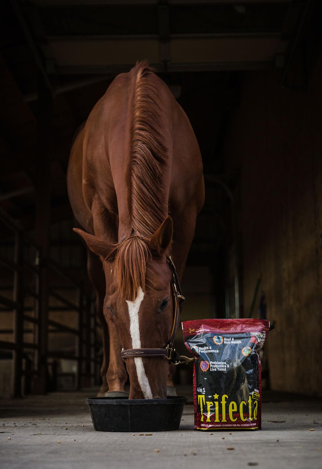 Horse Guard Trifecta 4-in-1 Equine Vitamin Mineral Supplement, 10 lb Bag, Joint & Hoof Support, Sand Color