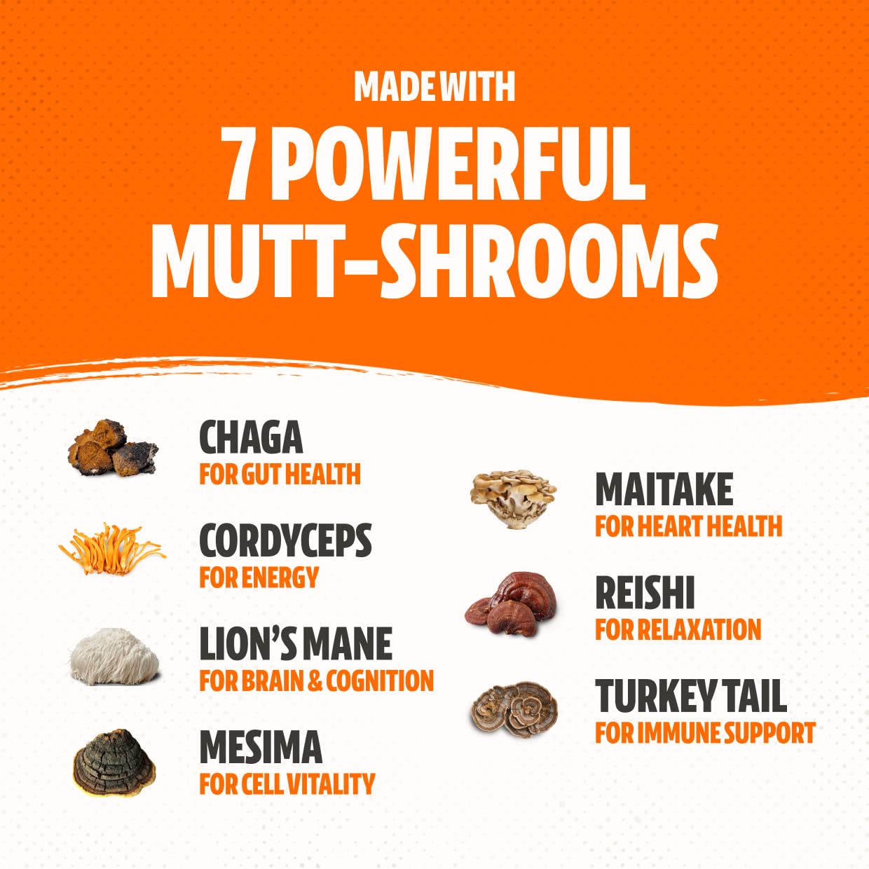 Shroomies - Organic Mushroom Complex for Dogs - Turkey Tail, Lions Mane - DHA, EPA, Turmeric and Kelp - 180 Soft Chews - Immunit