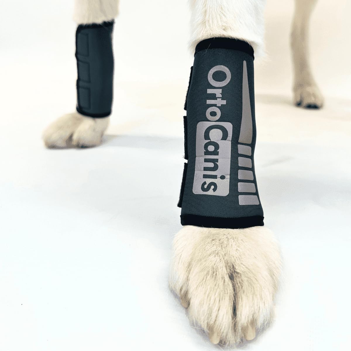 Ortocanis - Carpal Brace for Dogs with Arthrosis, Ligament or Tendon Injuries, or Agility Dogs, Size S
