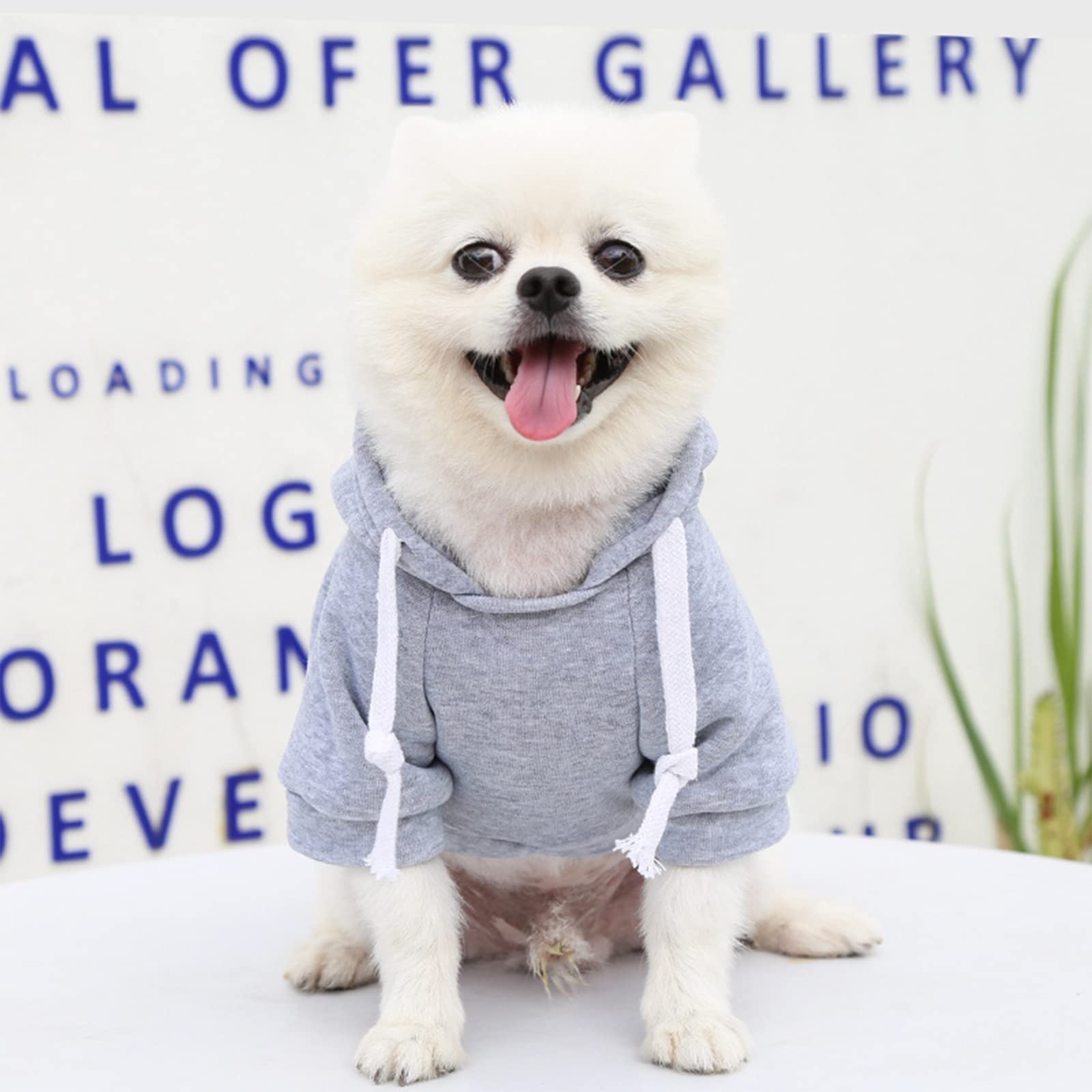 Petcare Grey Winter Dog Sweater - Soft Fleece Hooded Sweatshirt With Pocket - Small Dog Clothes For Chihuahua, Yorkies, French B