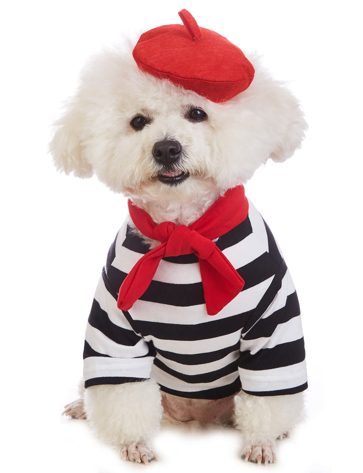 Coomour Artist Dog Costume With Funny Hat Painter Pet Clothes For Small Dog Shirts Puppy Summer T-Shirt (Xs) Black