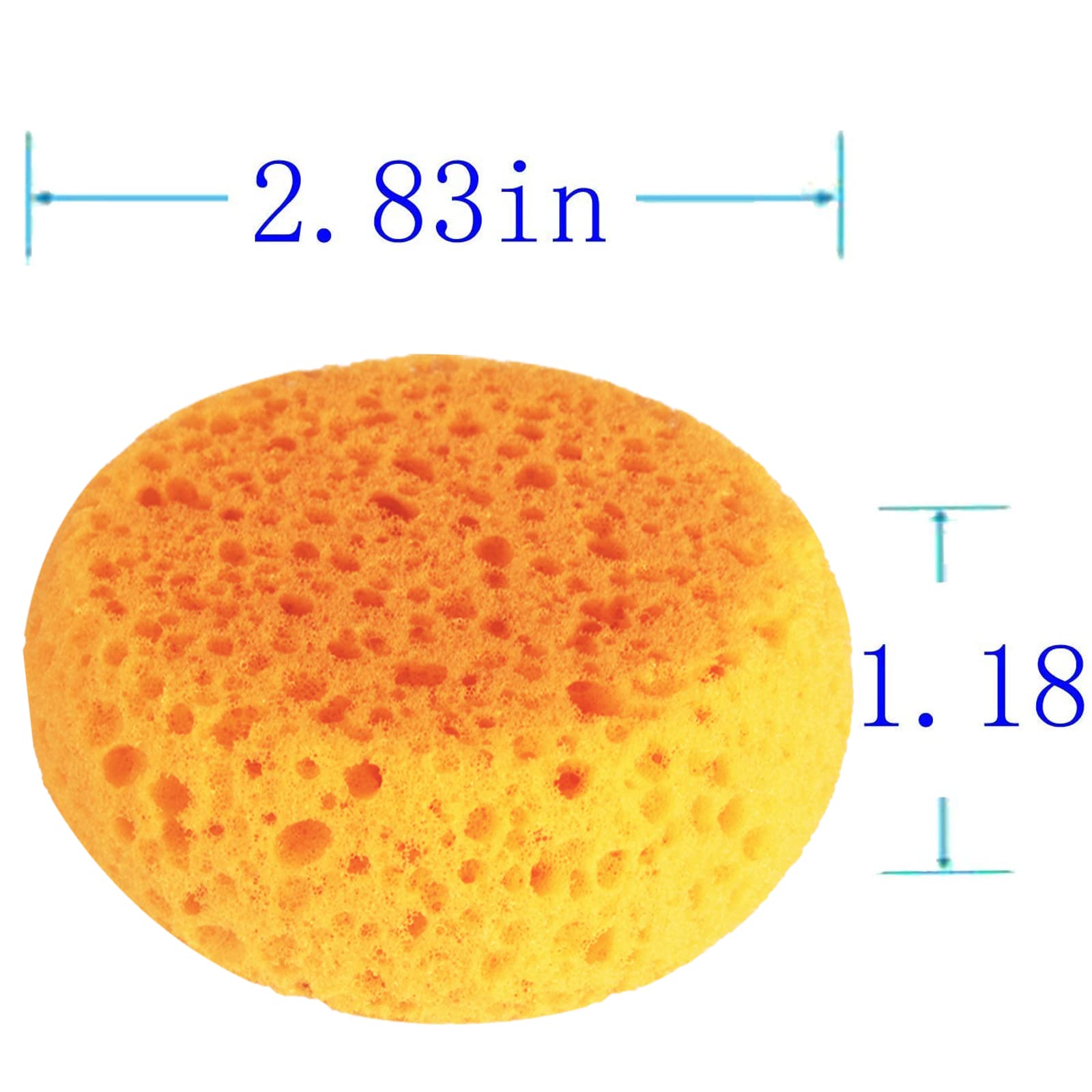 Xilaotou A Box Of 12 Tack Sponges (Coarse Holes)