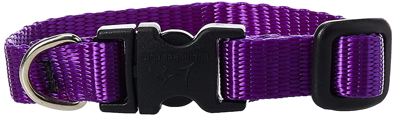LupinePet Basics 1/2'' Purple 6-9'' Adjustable Collar for Extra Small Dogs
