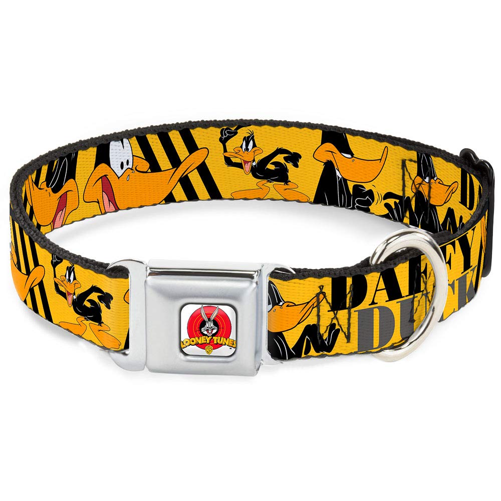 Buckle-Down Seatbelt Buckle Dog Collar - DAFFY DUCK w/Poses Yellow/Black - 1.5 Wide - Fits 13-18 Neck - Small