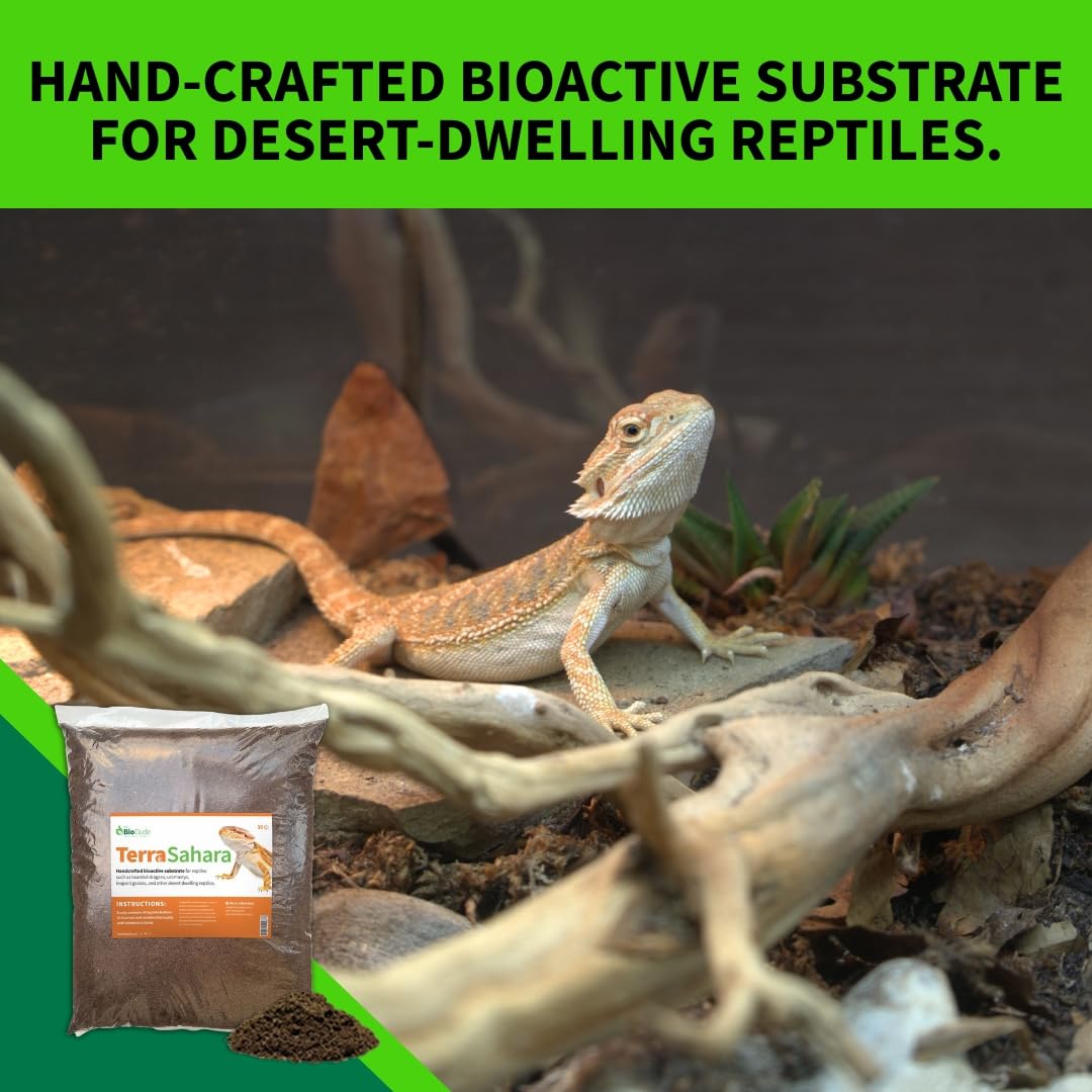 The Bio Dude Terra Sahara Bioactive Reptile Substrate 36 Quarts For Terrariums And Vivariums. Bioactive Substrate For Bearded Dr