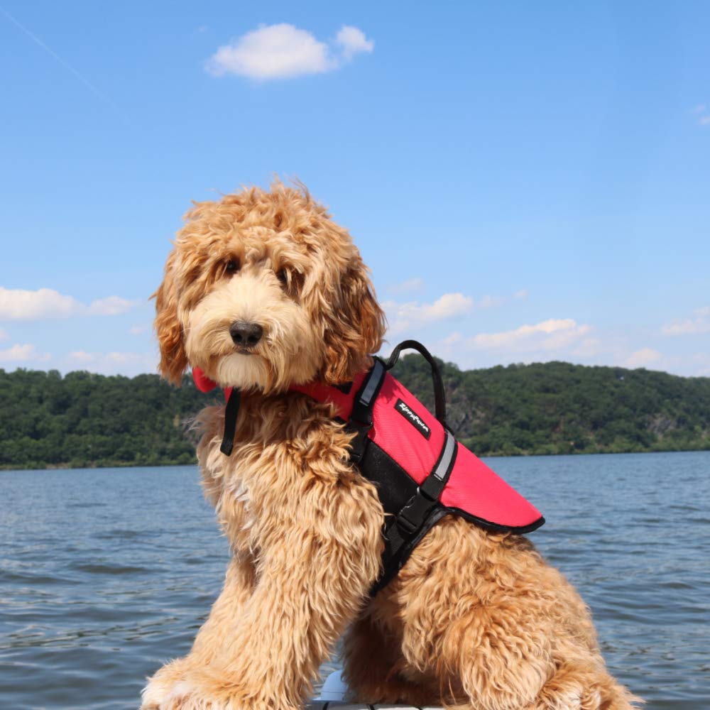 Zippypaws - Adventure Life Jacket For Dogs - (Xl) - Red - 1 Life Jacket