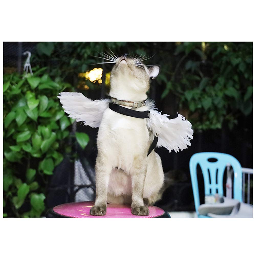 Weeh Pet Halloween Costume Cosplay Angel Devil Black White Wing For Dog Cat Rabbit Piggy - Funny Gift At Halloween Party Anime Theme Birthday Christmas (White, Large)