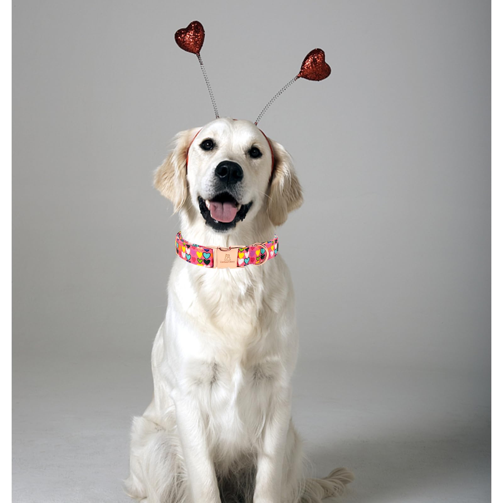 Lionheart Glory Valentine Collar, Hearts Dog Collar For Large Cute Dog Collars Spring Female Pet Gift Adjustable Heavy-Duty Dog