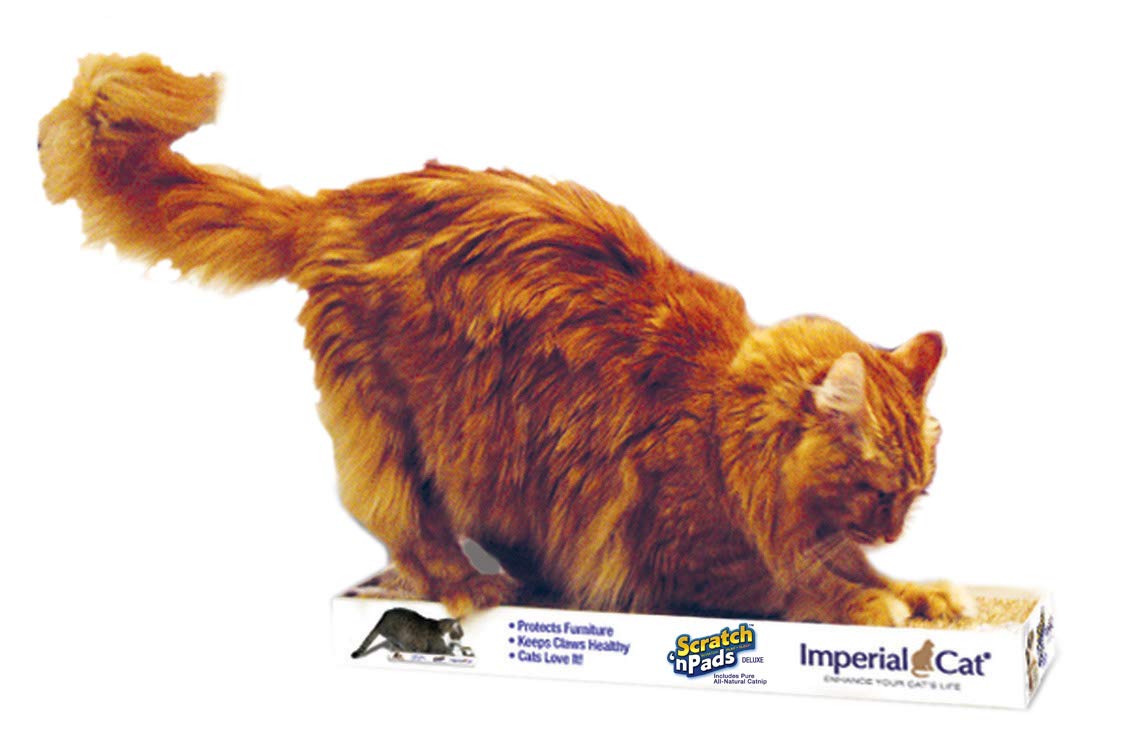 Imperial Cat Deluxe Scratch 'N Pad
