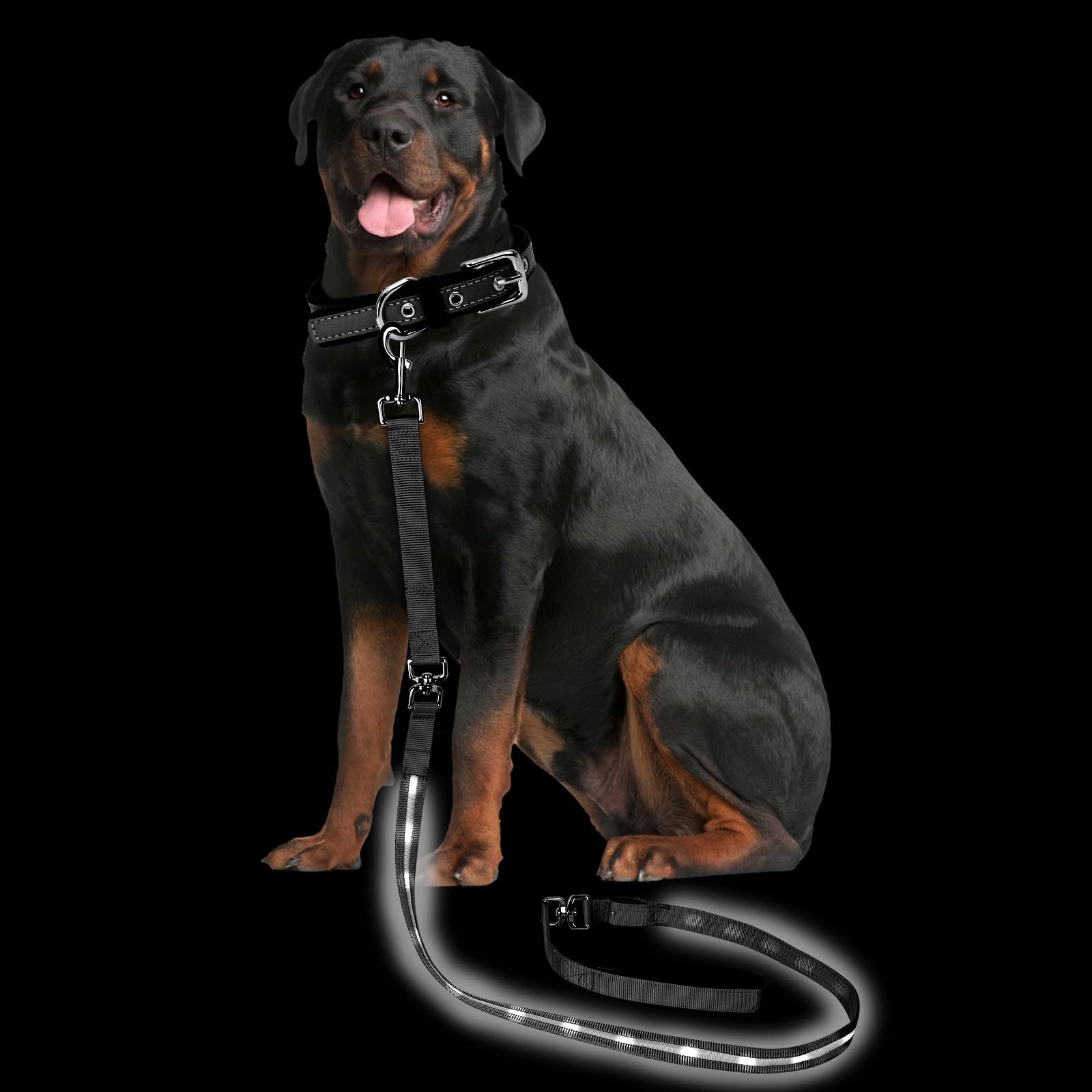 Petisay Light Up Dog Leash For Night Walking - Usb-C Rechargeable, Waterproof - 6Ft(White)