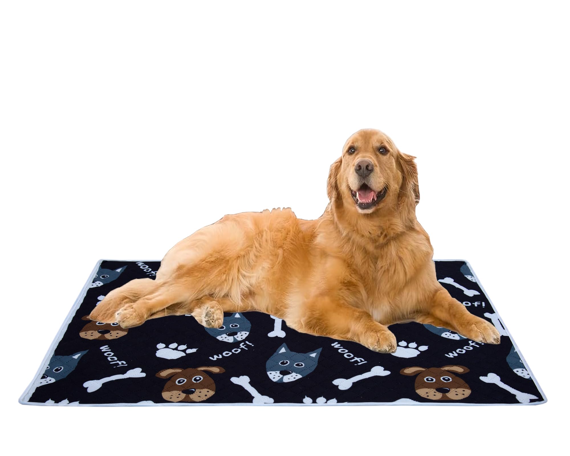 Aazeem Soft Light Weight Mat For Dogs, Cats & Pets, Skin Friendly Mat| Floormat | Pet Area Carpet | AntiSpill 40 X 53 Inches | 